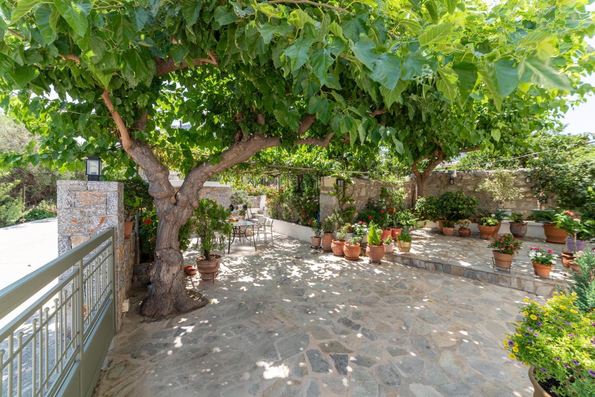 Vakantiehuis Kounenos House Istron